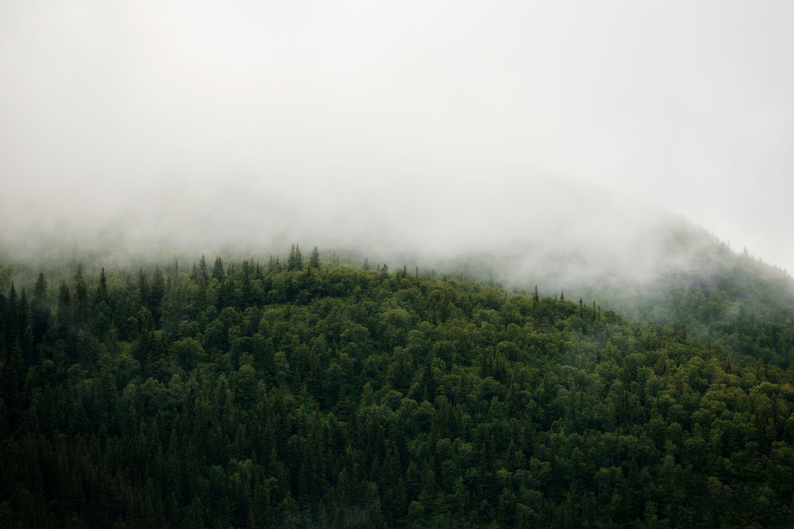 Sustainable environment