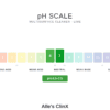 Multisurface Cleaner - Lime
